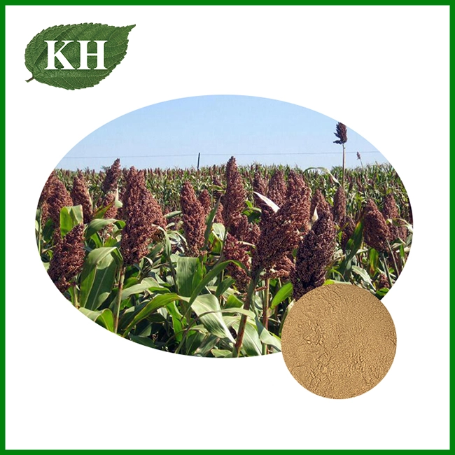 Sorghum Extract